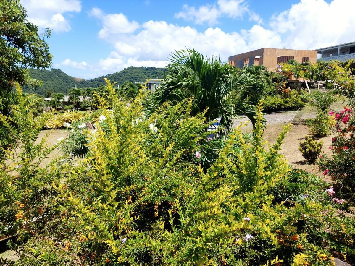 Diamond View Cottages Roseau Esterno foto