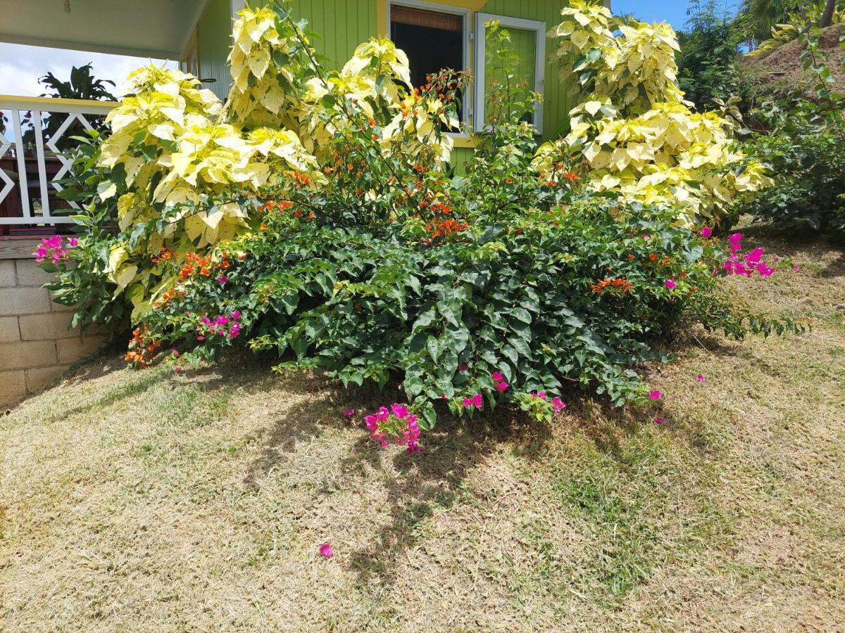 Diamond View Cottages Roseau Esterno foto