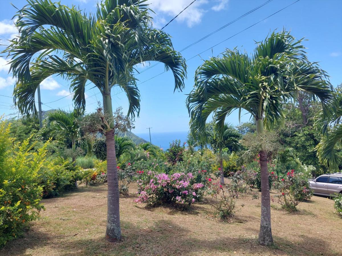 Diamond View Cottages Roseau Esterno foto
