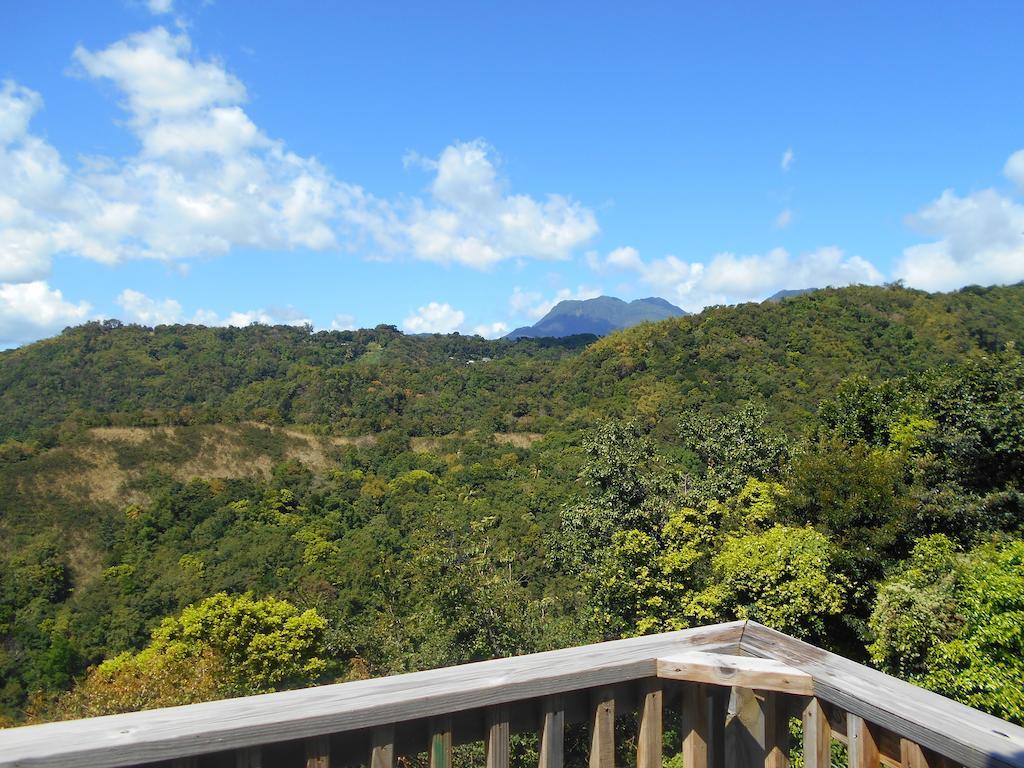 Diamond View Cottages Roseau Esterno foto
