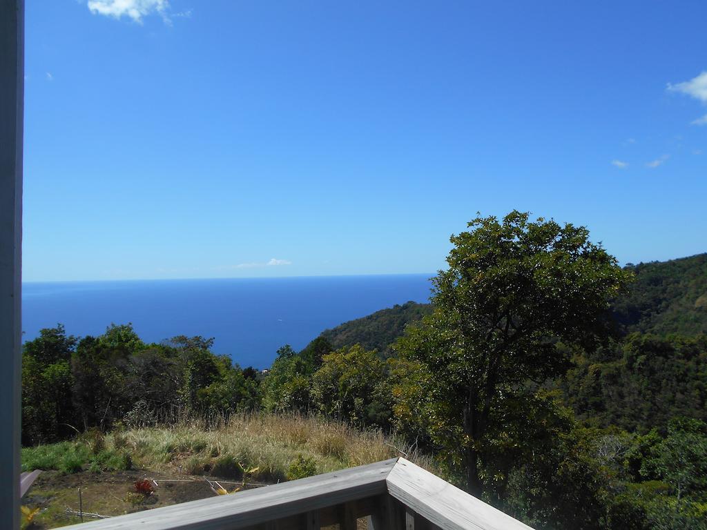 Diamond View Cottages Roseau Camera foto