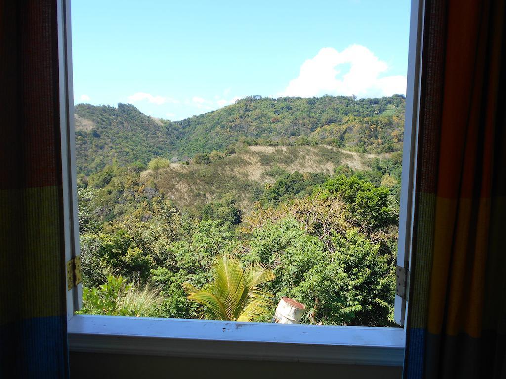 Diamond View Cottages Roseau Esterno foto