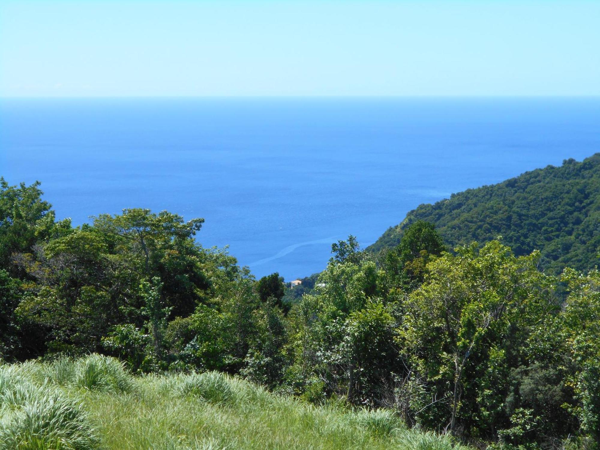 Diamond View Cottages Roseau Esterno foto