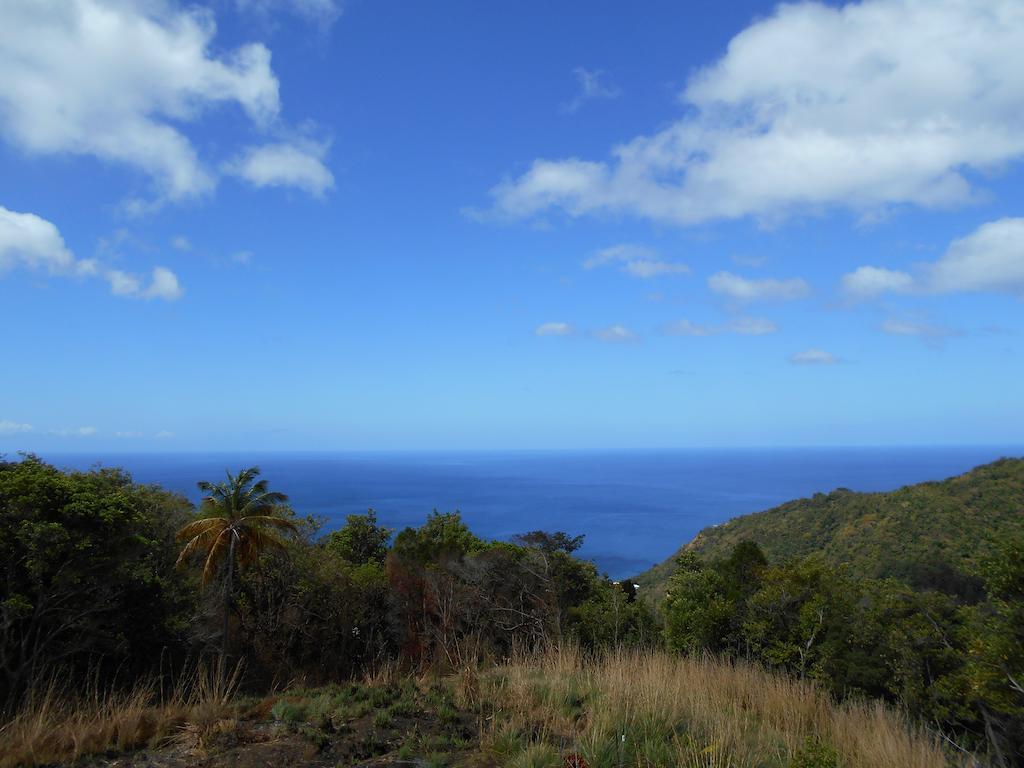 Diamond View Cottages Roseau Esterno foto