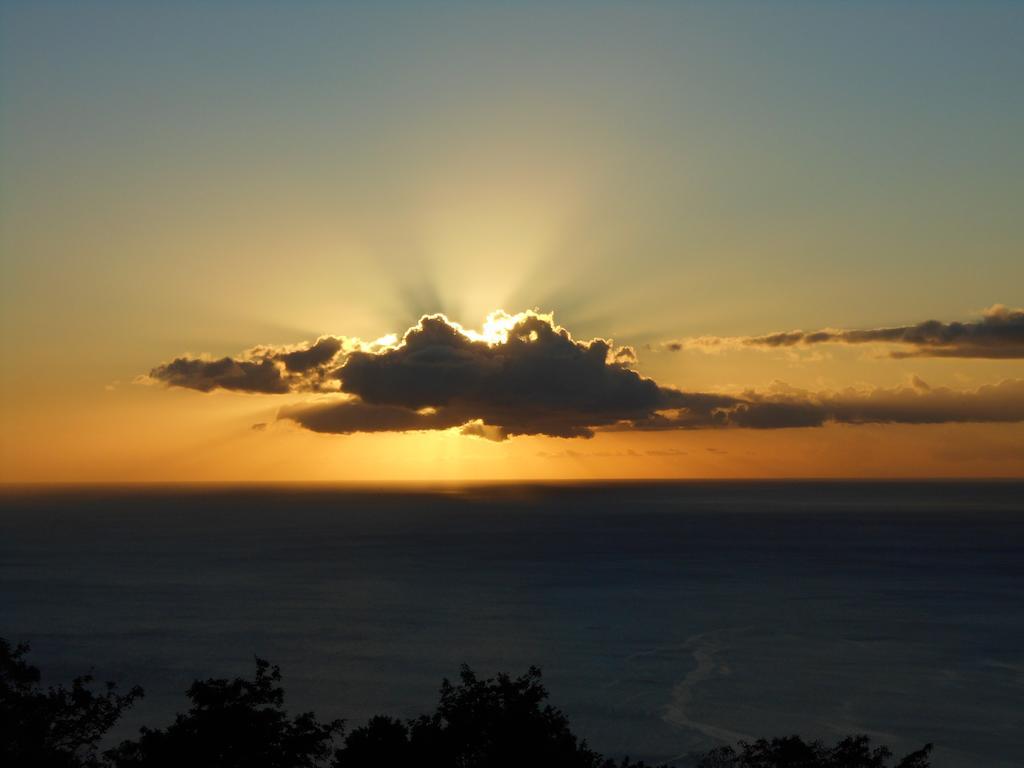 Diamond View Cottages Roseau Esterno foto